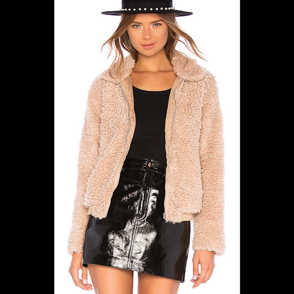 Teddy bear bomber